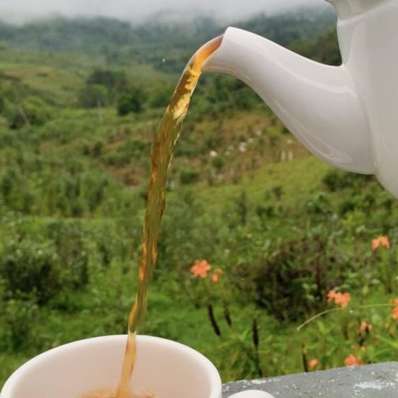 Pouring the perfect cup of organic Sabah Tea