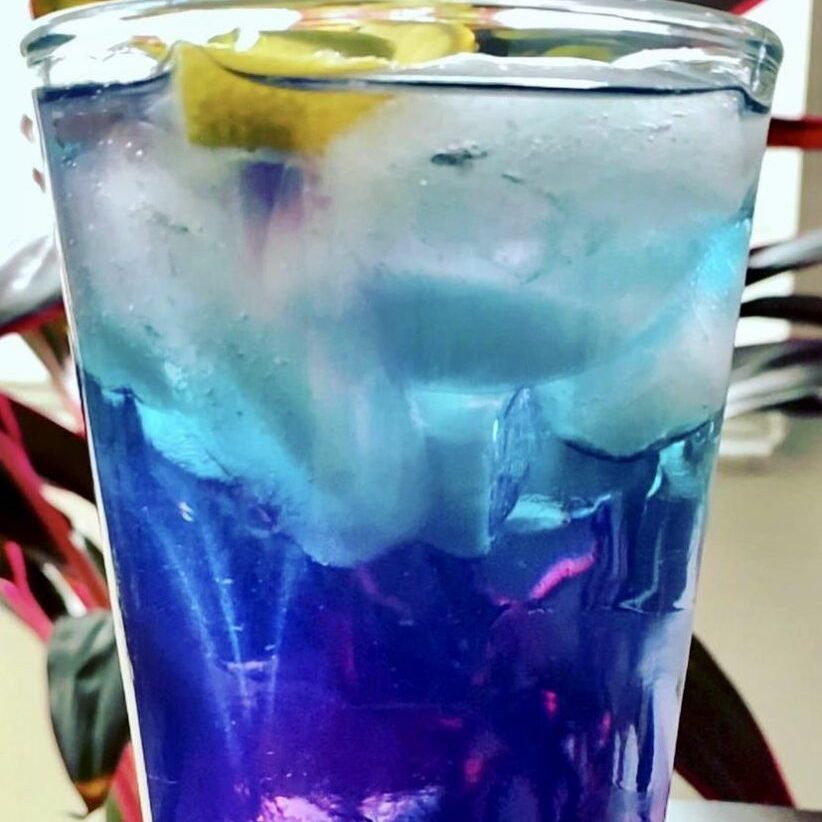 Butterfly Pea Tea for a Picnic